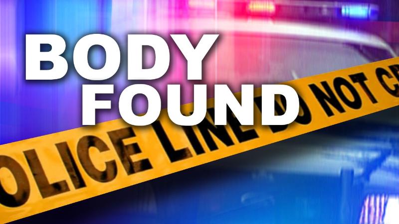 Elderly man found murdered: Port Elizabeth.