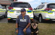 Police Dog 'Jack' continue to assist in arresting suspects