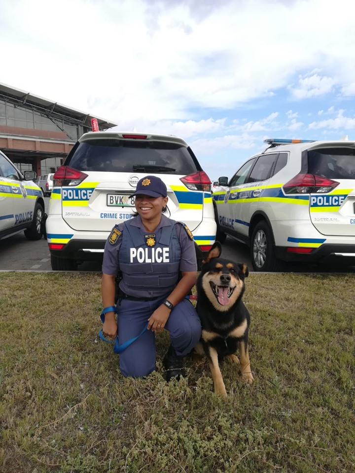 Police Dog 'Jack' continue to assist in arresting suspects