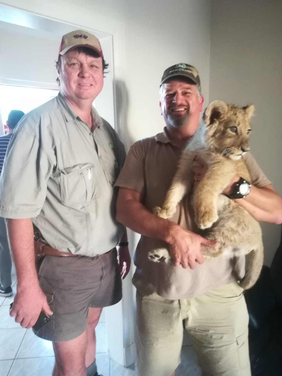 Lion Cub found in Athlone