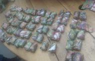 Cradock Cluster SAPS members nabs drug dealers after tip-off