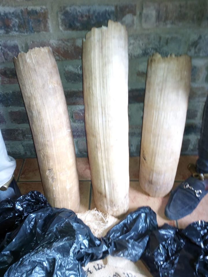 Elephant tusks alleged smugglers remanded in custody