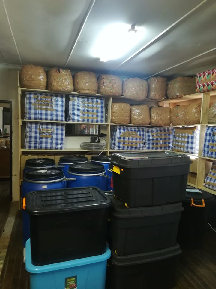 Hawks shuts down cannabis lab in Brits and R3 million worth of dagga seized