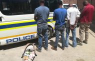 Swift reaction of police leads to arrests of 7 armed robbery suspects
