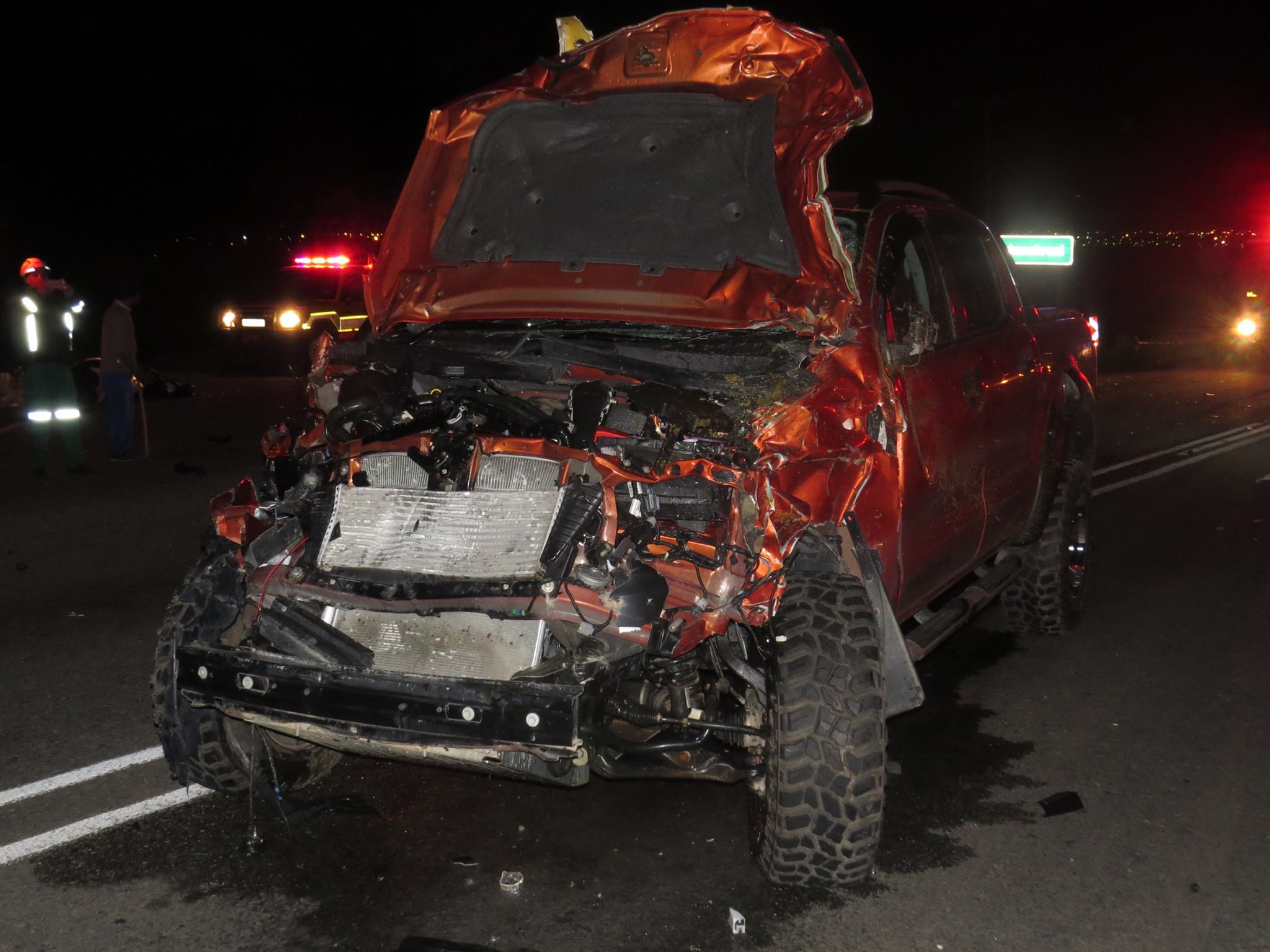 Road users warned of the threat posed by cattle on the N6 road between Lesseyton and Queenstown