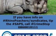 Police arrest alleged rhino poacher