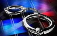 Suspect arrested for possession of unlicensed firearm and others for dealing in drugs in Delft