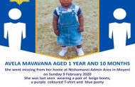 Search continues for missing toddler