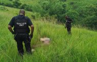 Dispute whether man killed next to the road in Oakford near Ndwedwe was a suspected car thief