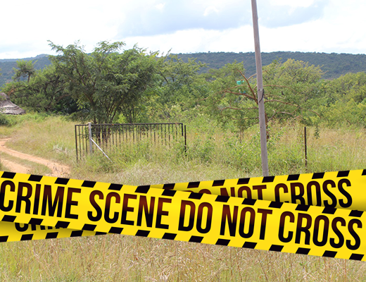 Police launch a manhunt following a farm attack