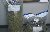 Man busted for possession of dagga
