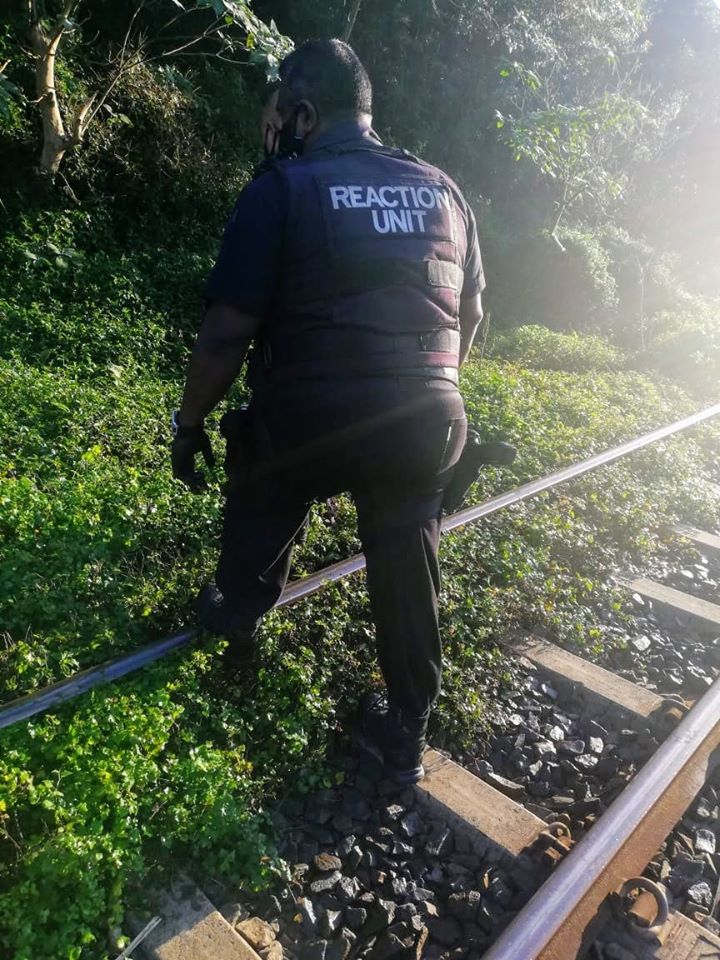 The body of a man was discovered hanging from a tree along a railway line in Tongaat