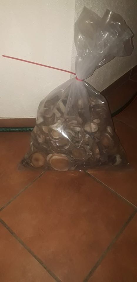 Abalone valued at R4.1 million seized in Paarl