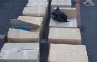 Two suspects arrested with abalone worth more than R5 million