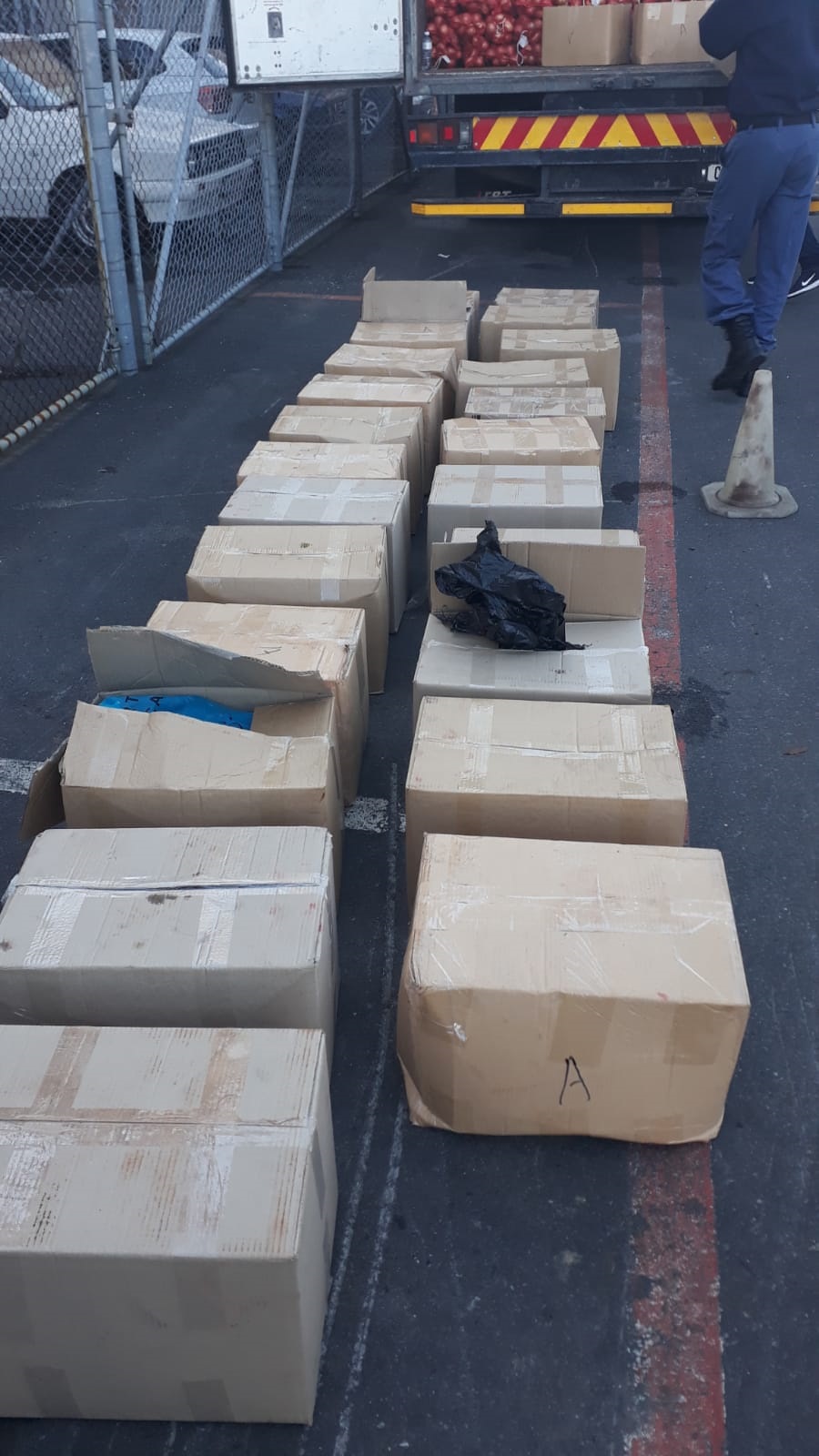 Two suspects arrested with abalone worth more than R5 million