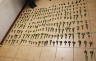 Man arrested for dealing in Khat