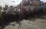 Road closure due to fallen tree in Ottawa