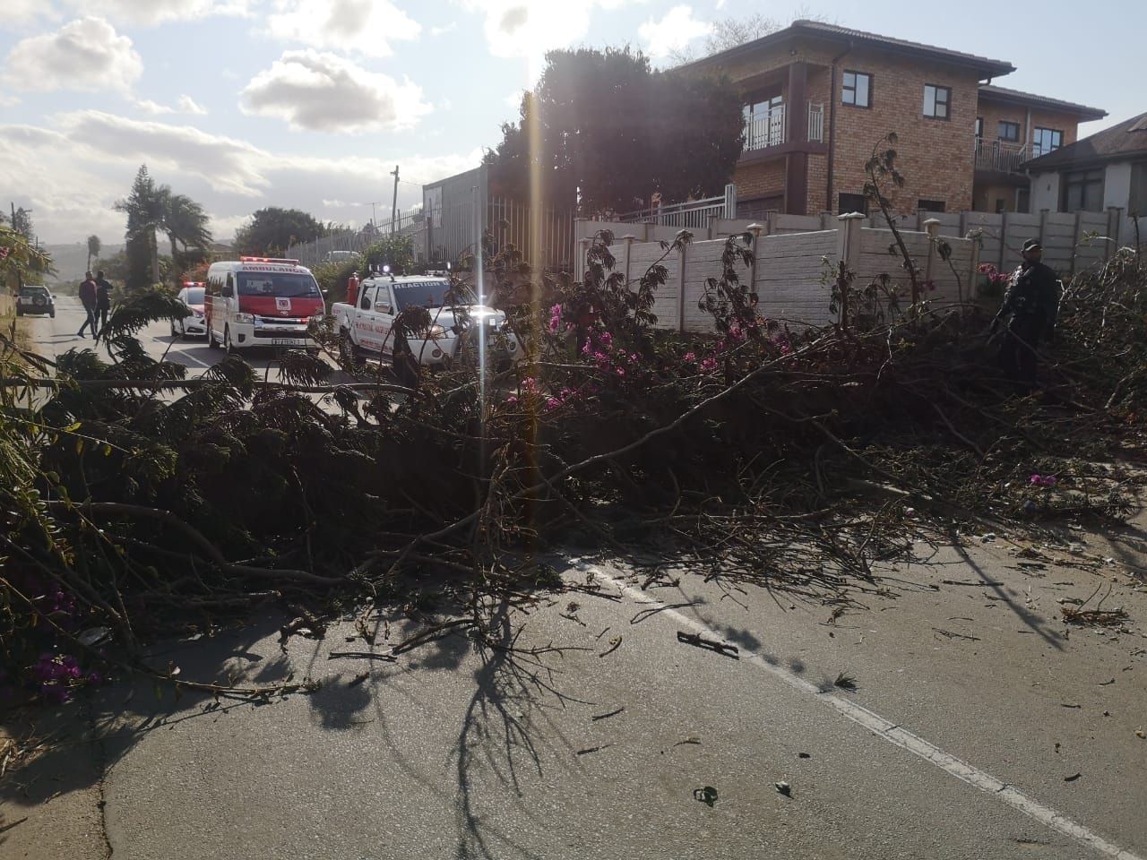 Road closure due to fallen tree in Ottawa