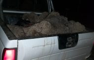 Four suspects arrested for stock theft in Maclear