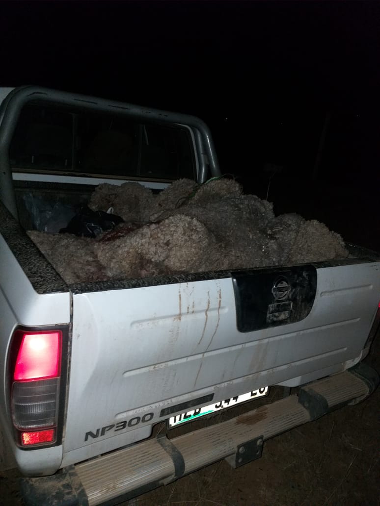 Four suspects arrested for stock theft in Maclear