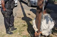 Homeowner apprehends suspect in Brindhaven