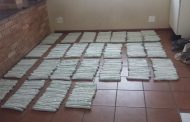 A 42-year-old woman arrested for possession of explosives