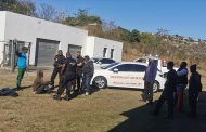 Robbery suspect apprehended in Brindhaven