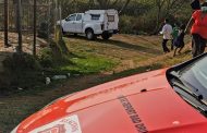 Man found dead in a Bush in Canelands