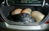 Pair arrested for possession of dagga worth an estimated R30 000