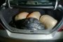 Police confiscates drugs worth R1.8m near Laingsburg