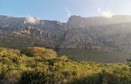 Hiker dies at Union Ravine on Table Mountain