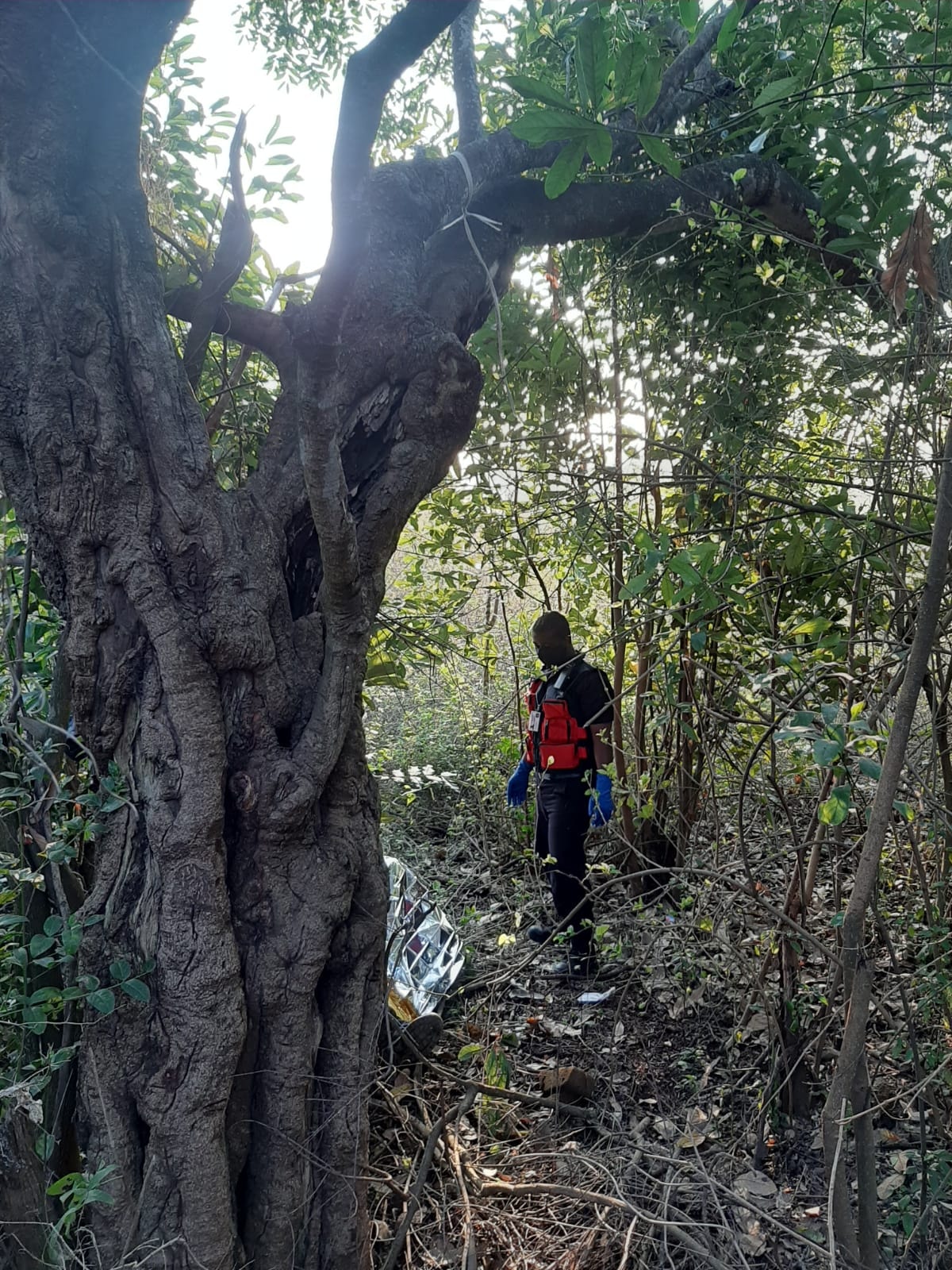 Passerby Discovers Man Hanging From Tree at Waterloo in KZN