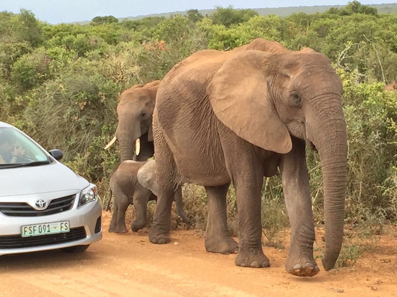 Nature reserve self-drive tips