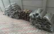 Large quantity of dagga confiscated during an intelligence-driven operation in Cotswold