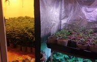 Police uncover dagga lab with dagga valued R2 million