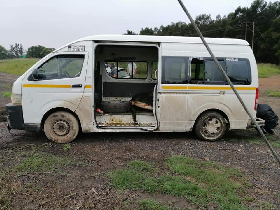 Stolen cattle thrown out of the moving taxi, suspects sought by police