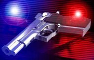 Suspect shot during an alleged attempted hijacking in R101 next to Monument Park