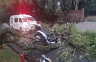 Biker injured when crashing into a fallen tree in White River