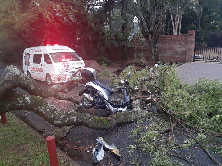 Biker injured when crashing into a fallen tree in White River