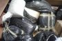 Housebreaking foiled in Moreleta Park