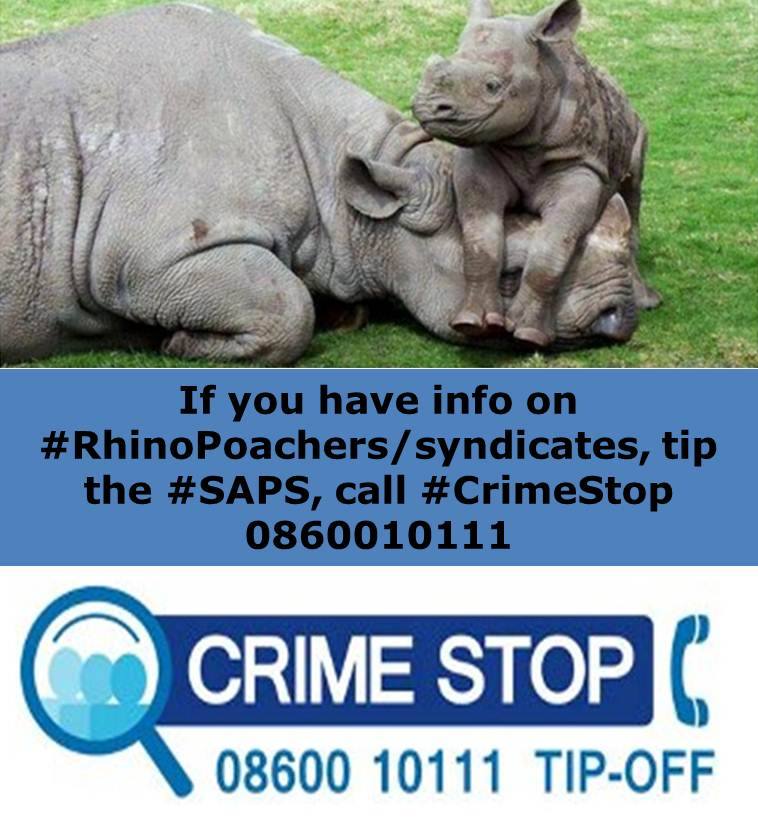 Suspects arrested for rhino poaching after a vehicle search