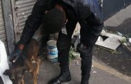 A dog was injured after it was run over in Phoenix, KZN