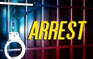 Two male suspects arrested for business robbery