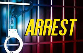 Two male suspects arrested for business robbery