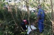 Murdered Woman Discovered By Herdsman: Ottawa - KZN
