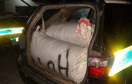 Drugs, ammunition and livestock confiscated, five arrested