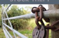 Uniondale Police arrest three suspects for Stock Theft