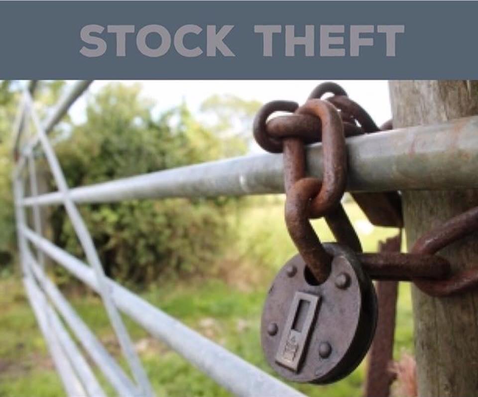 Uniondale Police arrest three suspects for Stock Theft