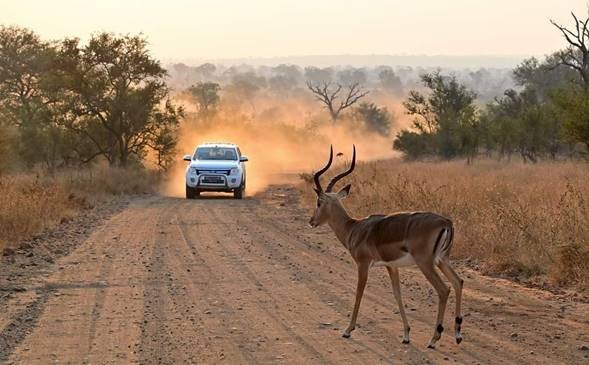 Register for the second African Conference for Linear Infrastructure and Ecology