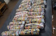 Seven suspect arrested for possession of dagga and a shotgun in East London